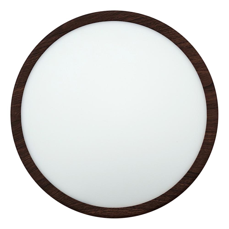 LED Stropní svítidlo LED/24W/230V 3000/4000/6500K pr. 30 cm hnědá